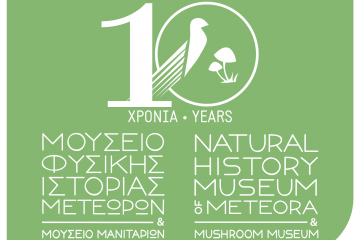 Στο κορυφαίο 10% των δραστηριοτήτων παγκοσμίως το Μουσείο Φυσικής Ιστορίας Μετεώρων και Μουσείο Μανιταριών