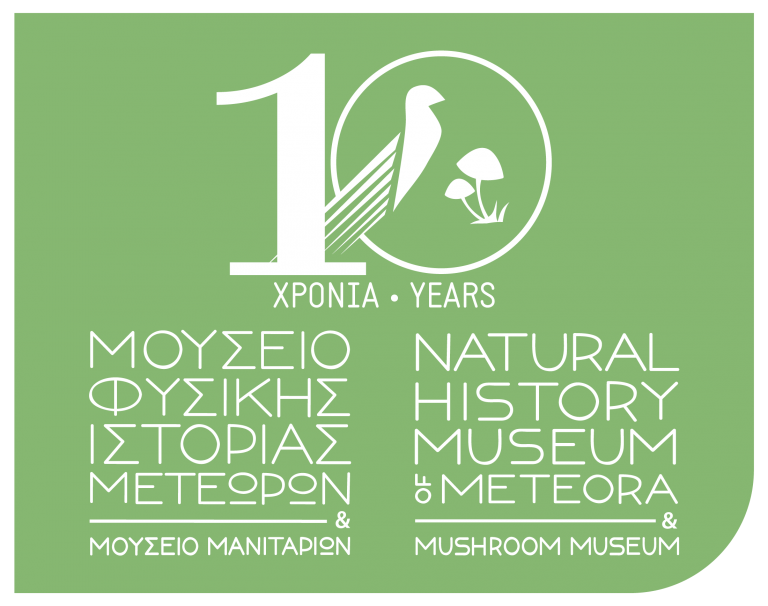 Στο κορυφαίο 10% των δραστηριοτήτων παγκοσμίως το Μουσείο Φυσικής Ιστορίας Μετεώρων και Μουσείο Μανιταριών