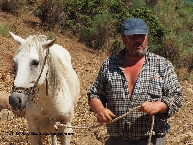 Οι υλοτόμοι είναι οι προστάτες του δάσους
