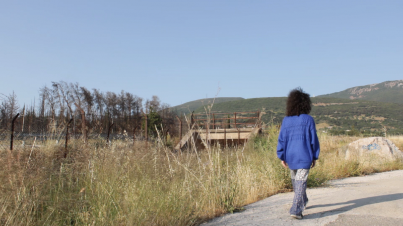 Προβολή ταινιών μικρού μήκους του Αλέξανδρου Βέρροιου στο Πολύεδρο